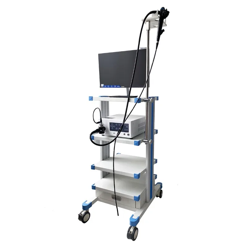 Veterinary Flexible Endoscope System Excellent Medical Camera for Endoscopic Procedures Commercial Equipment and Animal Care