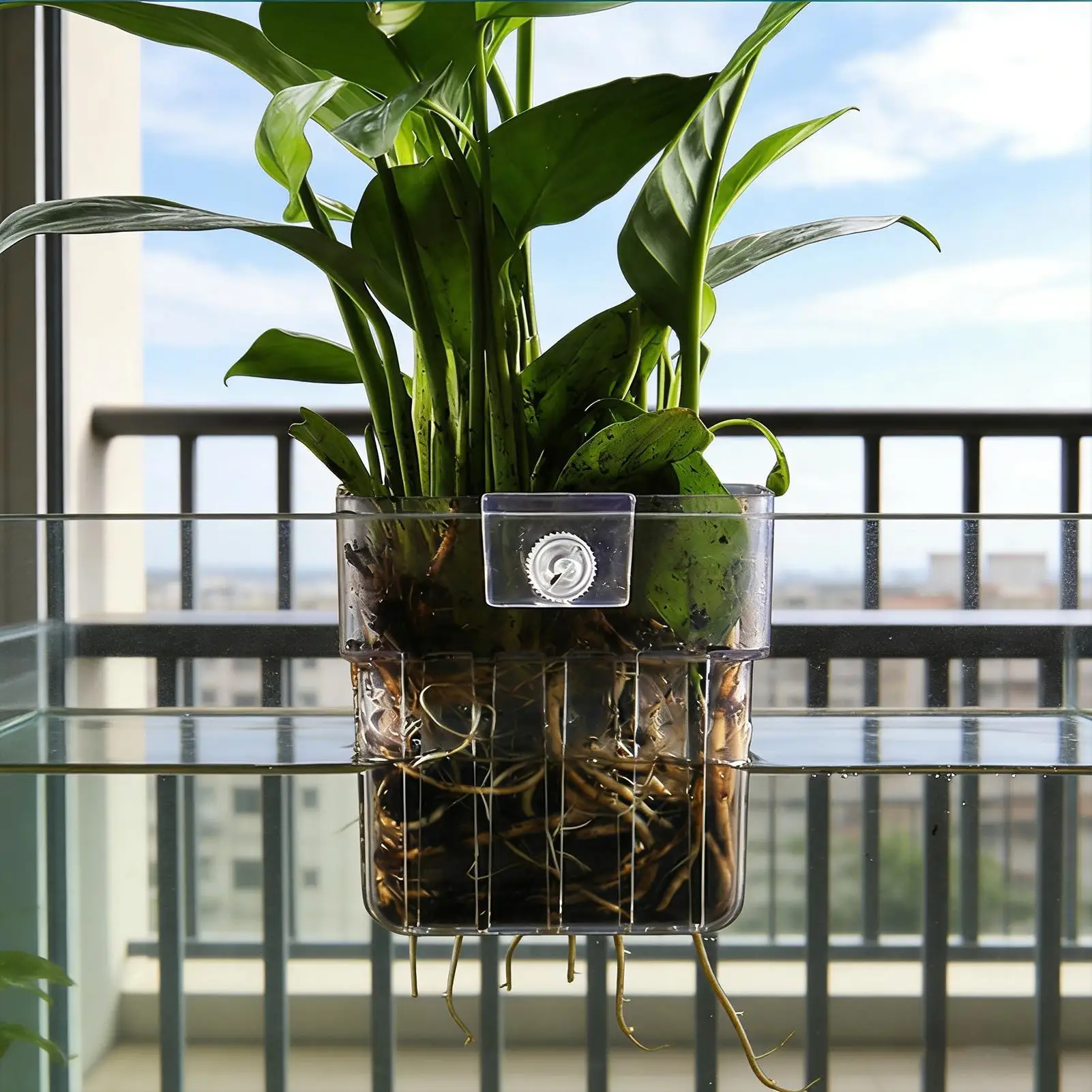 Transparent Hangable Aquarium Plant Holder Pot for Fish Tank Hydroponic System Indoor Workplace Decor Cultivation Decorations
