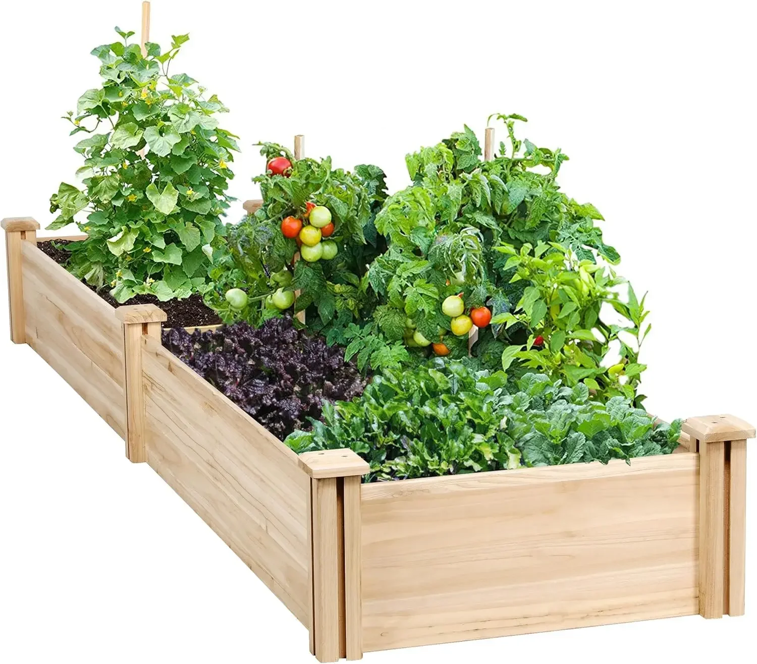 

8×2ft Wooden Horticulture Raised Garden Bed Divisible Elevated Planting Planter Box for Flowers/Vegetables/Herbs in Backyard