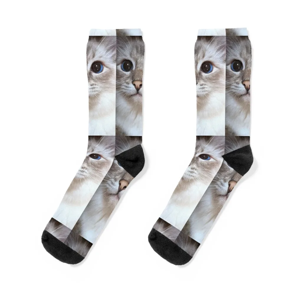 

Lynx ragdoll cat Saoirse Socks christmas gifts hip hop Men's winter gifts Men Socks Women's