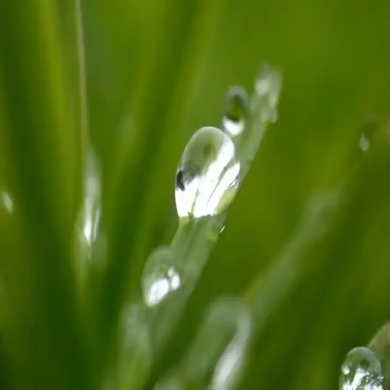 

Для Ford Everest 2016-2022: Электрический привод багажника, автоматическое открывание задней двери, инструменты для подъема и опускания багажника