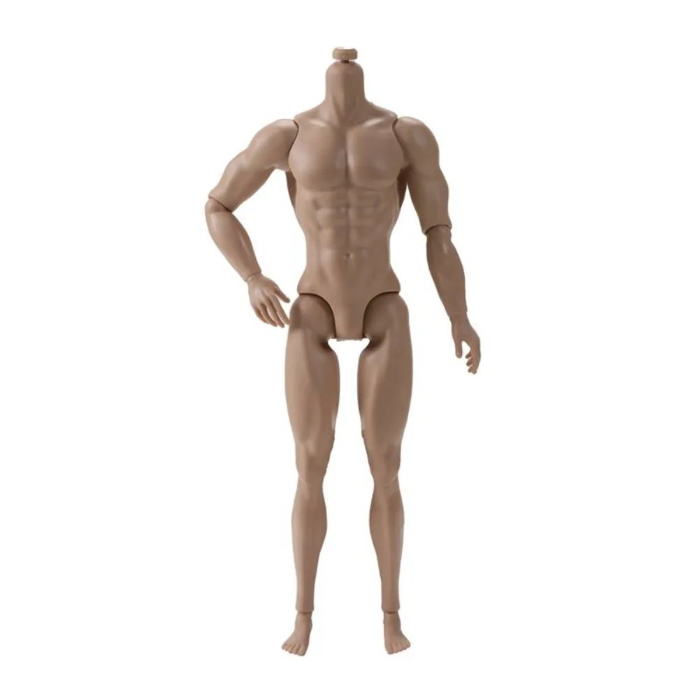 

Birthay Gifts 31cm Height 1/6 Male Body White Normal Tan Strong Man Male Model Joint Movable Replacement Action Figure Body DIY