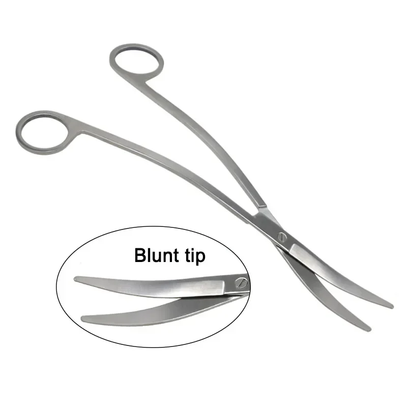 

GREATLH Nasal Tissue Removal Septa Scissors Wow Beak Scissors Stainless Steel Surgical Tissue Scissors Nasal Plastic Tool