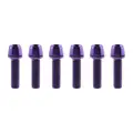 6PCS Purple