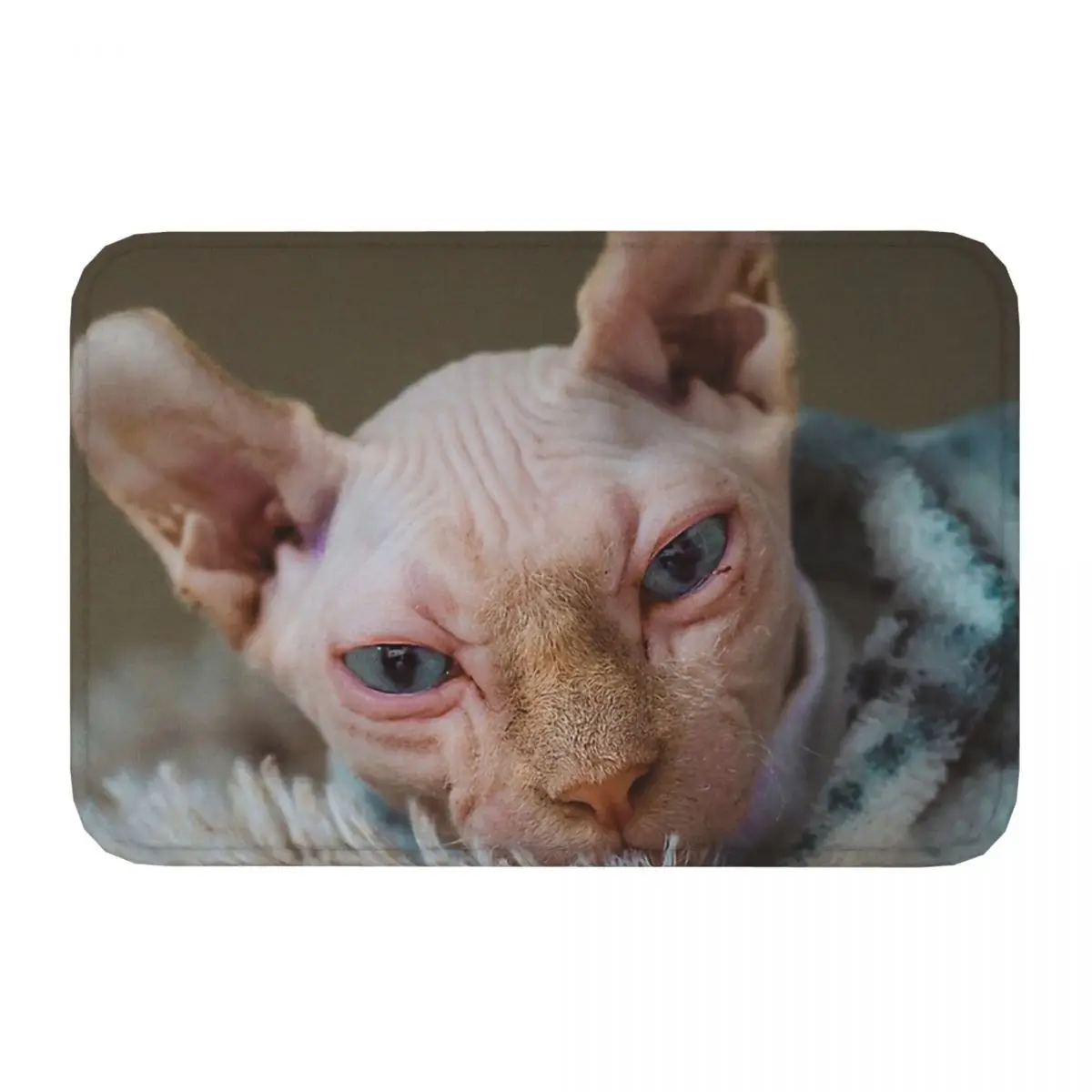 Sphynx Hairless Cat Bath Mat Sphynx Cat Doormat Flannel Carpet Entrance Door Rug Home Decoration