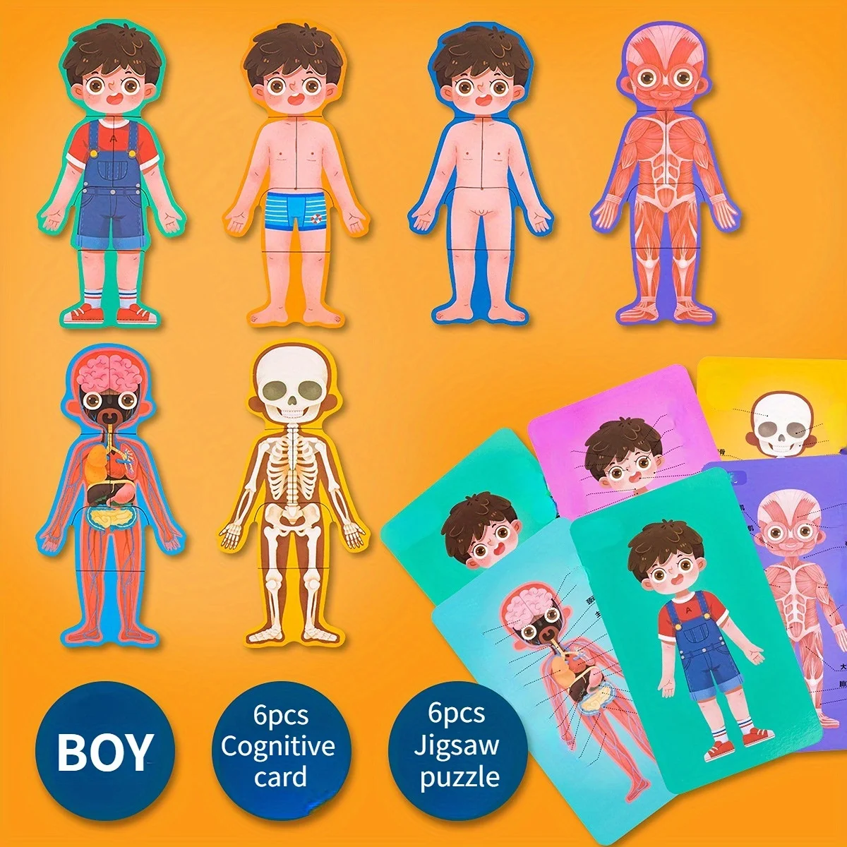 

1pc wooden jigsaw puzzles,Human body structure cognition structure biology wood accessories,enlightenment, puzzle,learning