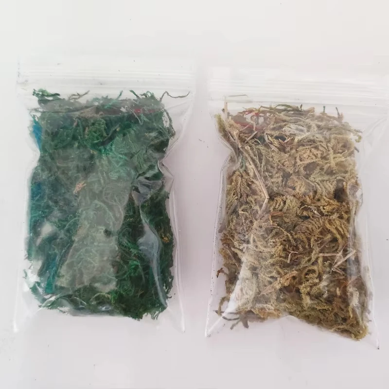 군사 풍경 장면 식물 재료 디오라마 액세서리를 만들기위한 10g 시뮬레이션 모스 잔디 클러스터 모델 키트