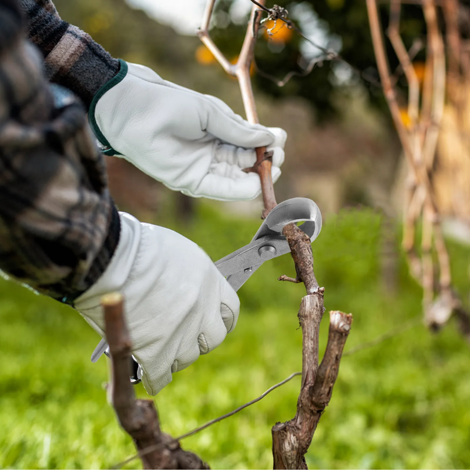 

Hedge Shears Carbon Steel Sharp Blades Lightweight Ergonomic Handles Garden Pruner Bonsai Tree Tools Branch Trimmer Plant