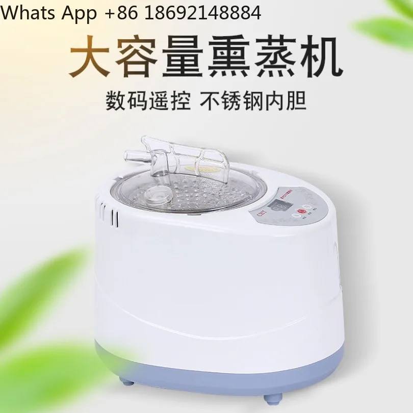 Home Steam Generator Sauna Fumigation Machine 2L 3L 4L Steam Pot for Foot Barrel Spa Therapy