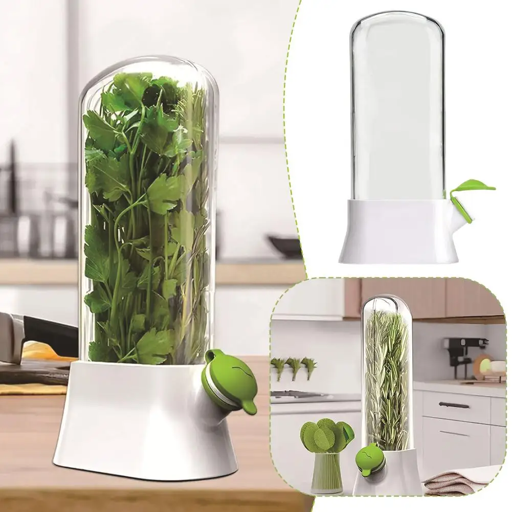 Vanilla Fresh-keeping Box Vegetable Fresh Greens Keeper Saver Environmental Protection Dust-proof Container Pod Anti-pressu W7D4