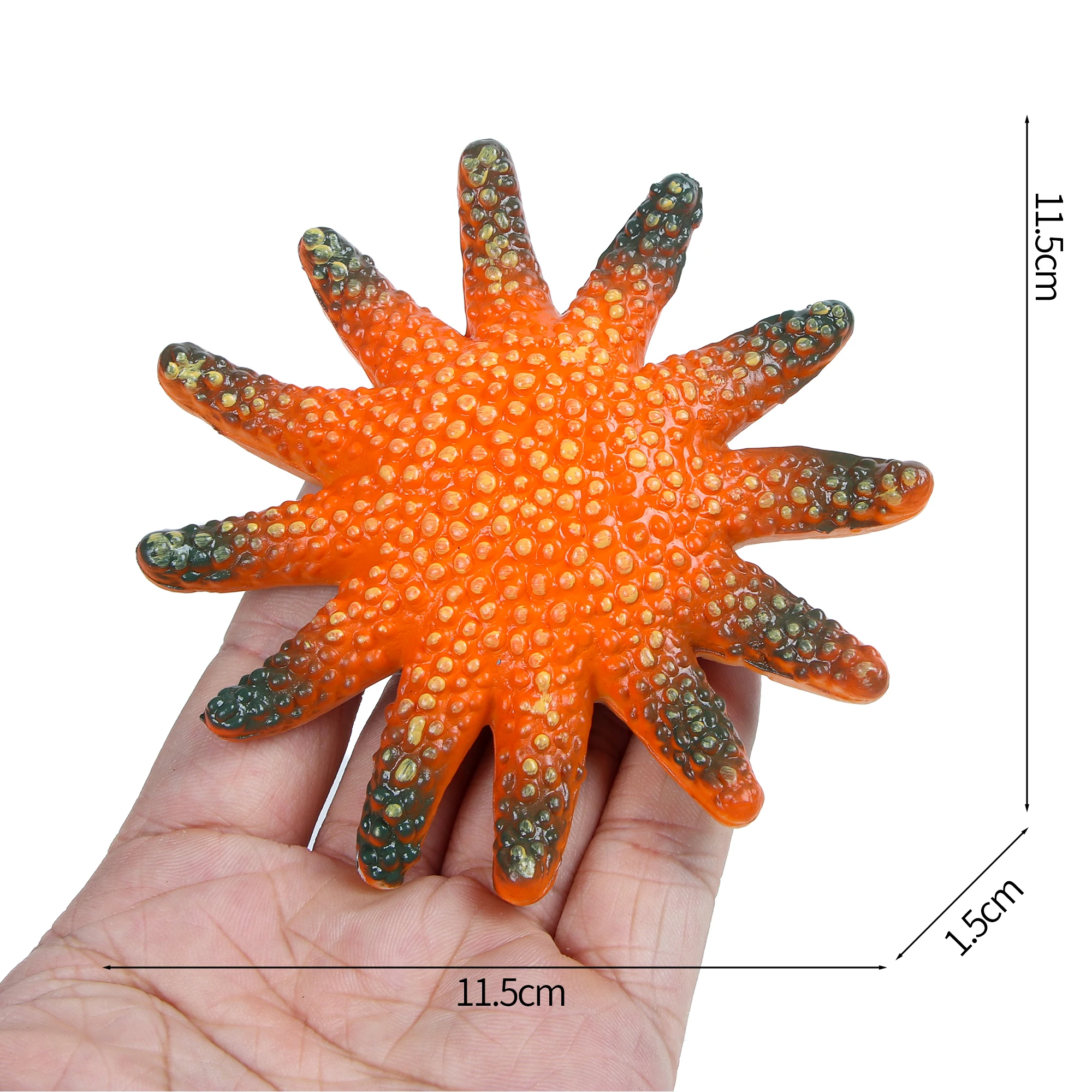 Figurka rozgwiazdy - żywa figurka gwiazdy morskiej 4,5" - zabawka edukacyjna dla chłopców, dziewcząt i dzieci w wieku od 3 lat