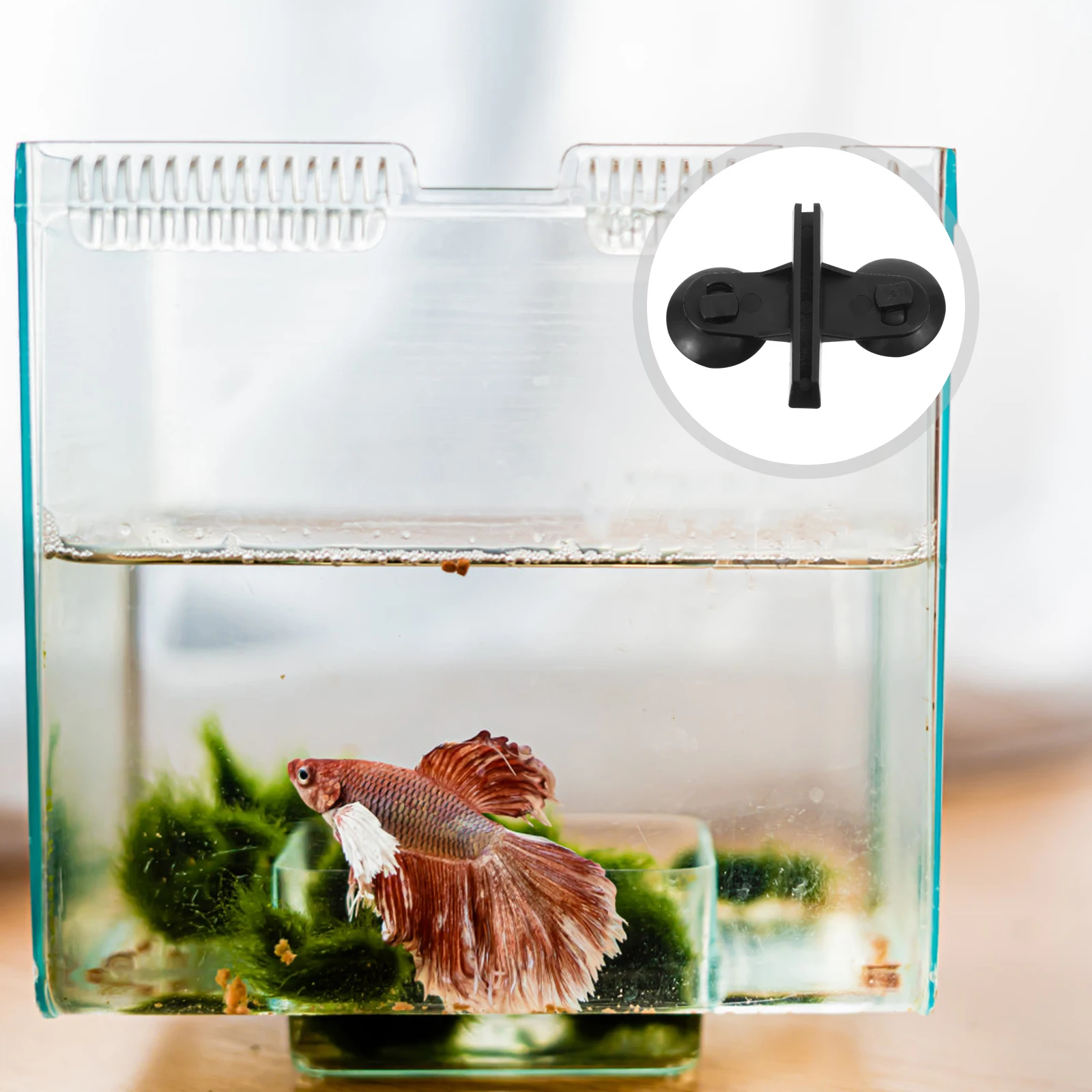 

5 Pcs Suction Cups Glass Clip Aquarium Divider Clips Fish Tank Clamps Cover Clear Hose Black