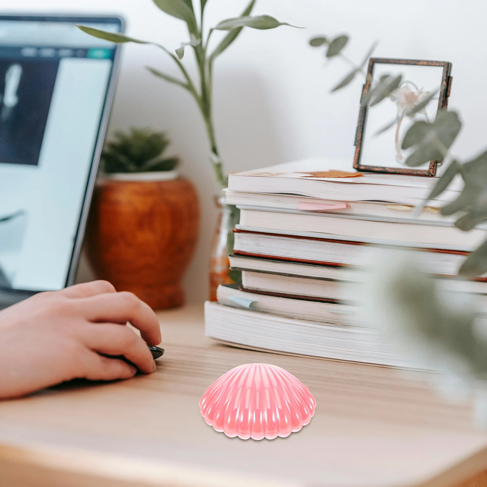 صندوق المفاتيح علبة المجوهرات صدف حامل البلاستيك الشفاف ganizer محارة شل قلادة حلقة طبق تخزين العرض