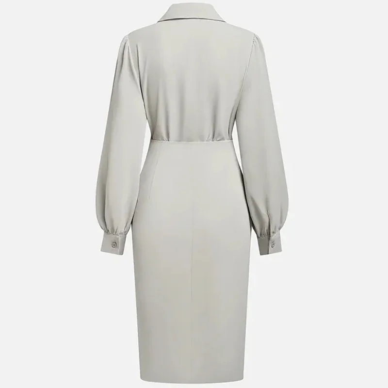 سليم صالح المرأة فساتين مثيرة الخريف مزاجه الجديد كم طويل قميص فستان للنساء Bodycon بلون مكتب سيدة فستان #6