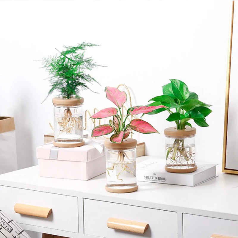 【M】Transparent Flower Pot Hydroponic Automatic Water Absorption Plastic Flower Pot