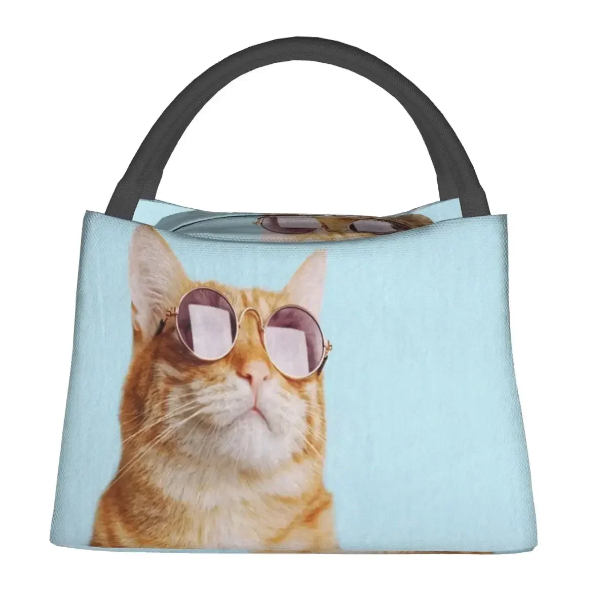 

Funny Cat Lunch Bag Animals Print Fun Lunch Box Office Convenient Thermal Lunch Bags Graphic Cooler Bag