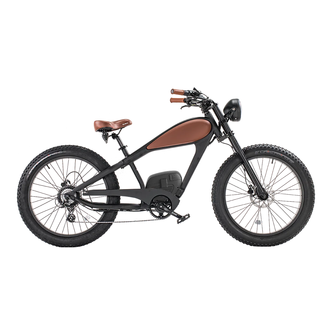 

STLF OEM Customized Dual Battery Electric Bicycle Vintage Mountain Ebike 26 Inch Fat Tyre Tire Electric Bikes for Adult
