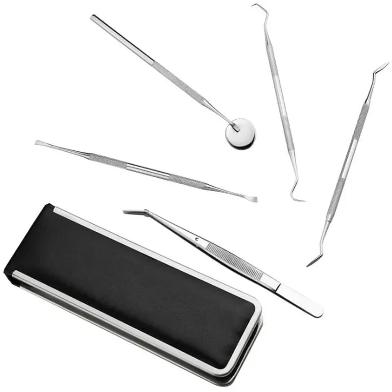 6 Pcs Stainless Steel Dental Tools Kit with Mirror, Tartar Remover Scraper for Teeth, Dentists Mouth Care Tool