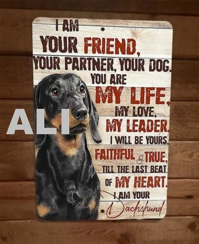 I am your Dachshund Friend 8x12 Metal Wall Animal Dog Sign #2 sign