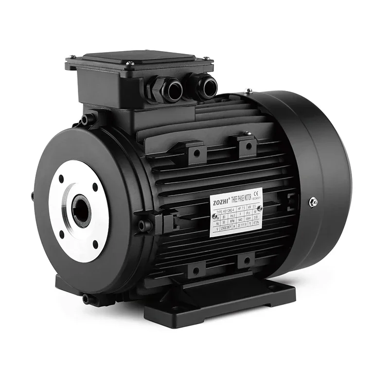 ZOZHI 4Kw 5.5kw  7.5Kw Hollow Shaft Motor Three Phase For  Car Wash Machinery Turkey