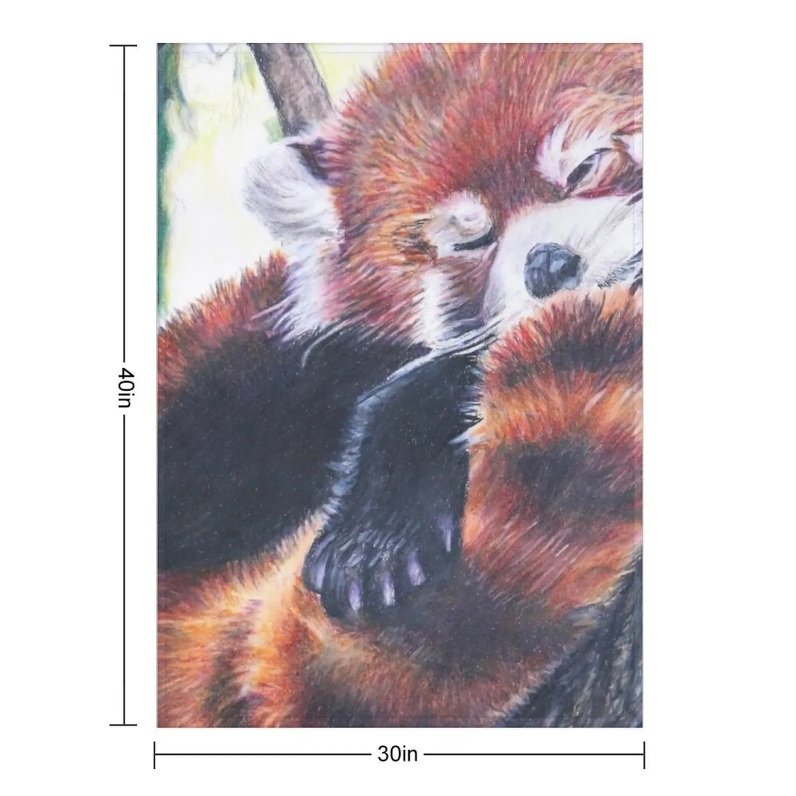Sleeping Red Panda Drawing Throw Blanket Winter beds Weighted decorative Multi-Purpose Personalized Gift Moving Blankets