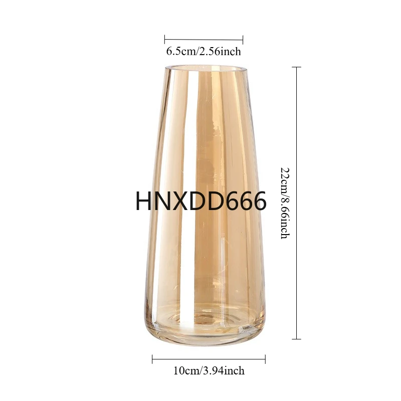 

Nordic ins Aurora Symphony Glass Vase Transparent Flower Arrangement Water Care Simple Desktop Small Fresh Gold Vase