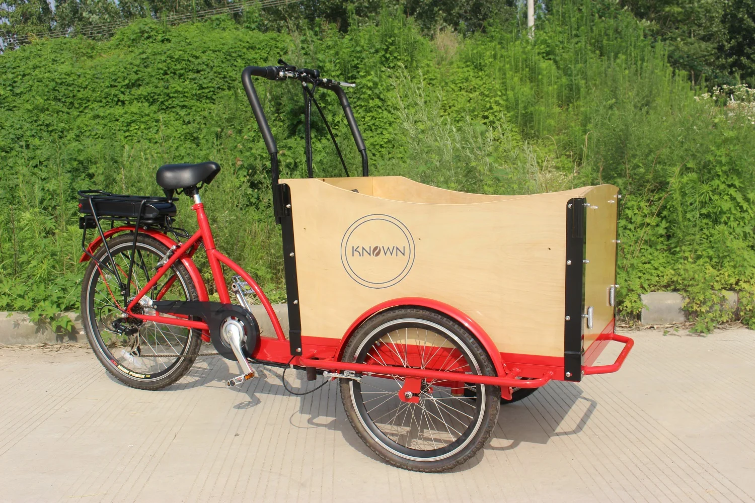 T05A 3 Wheel Electric Tricycle 250w Cargo Bike Passenger Scooter Bike Comercial Bicycle Adult