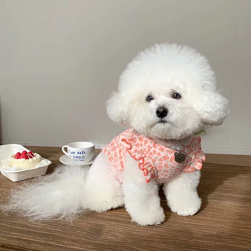 Haustier Hund Weste Sommer Welpen Kleidung Niedliche Blumen Fliegende Ärmel Hund T-Shirt Chihuahua Mops Bichon Katze Hund Bekleidung Hund Mädchen Kleidung – Detail 11