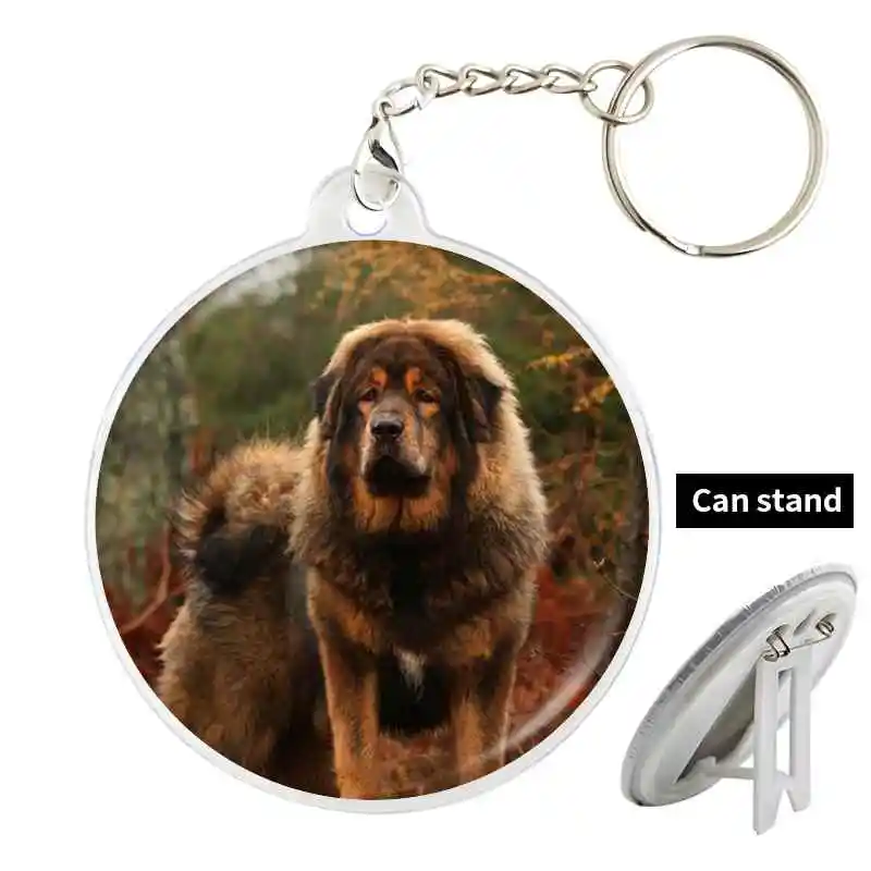 Tibetan Mastiff Badge Brooch anchor Peripherals Pin Chest tag Lapel Hat Cartoon Backpack Decoration Personalized Creative