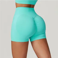 Seamless Sports Short Women Ribbed Shorts Squat Proof High Waist Fitness Tight Shorts Quick Drying Cycling Workout Gym Shorts