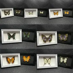 Butterfly specimen shadow display box desktop display birthday gift insect collection