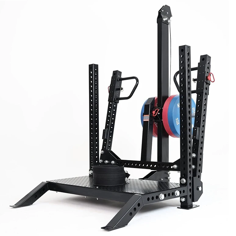 

Multifunctional Commercial Rhinoceros Squat Machine Hip Thigh Butt Leg Training Equipment Gym Waist Belt Squat Rack