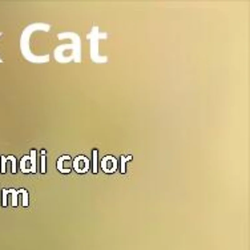 Elevated Cat Bowl With Stand - Durable Plastic Pet Food & Water Dish, Sleek Modern Neck-Friendly Feeding For Cats & Dogs