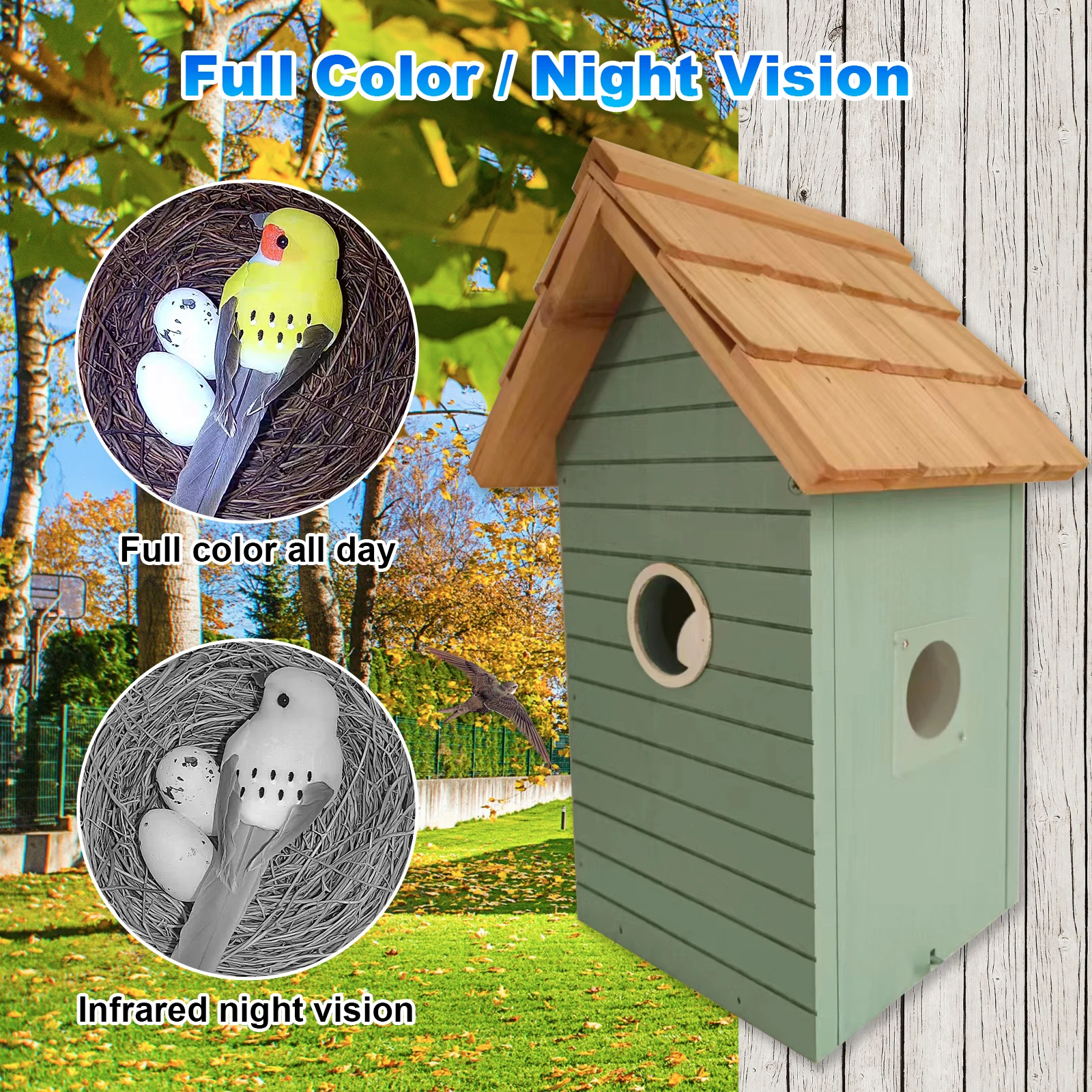 Harga Pabrik Kamera Rumah Pemb - Smart Bird Feeder Camera ulasan dan harga