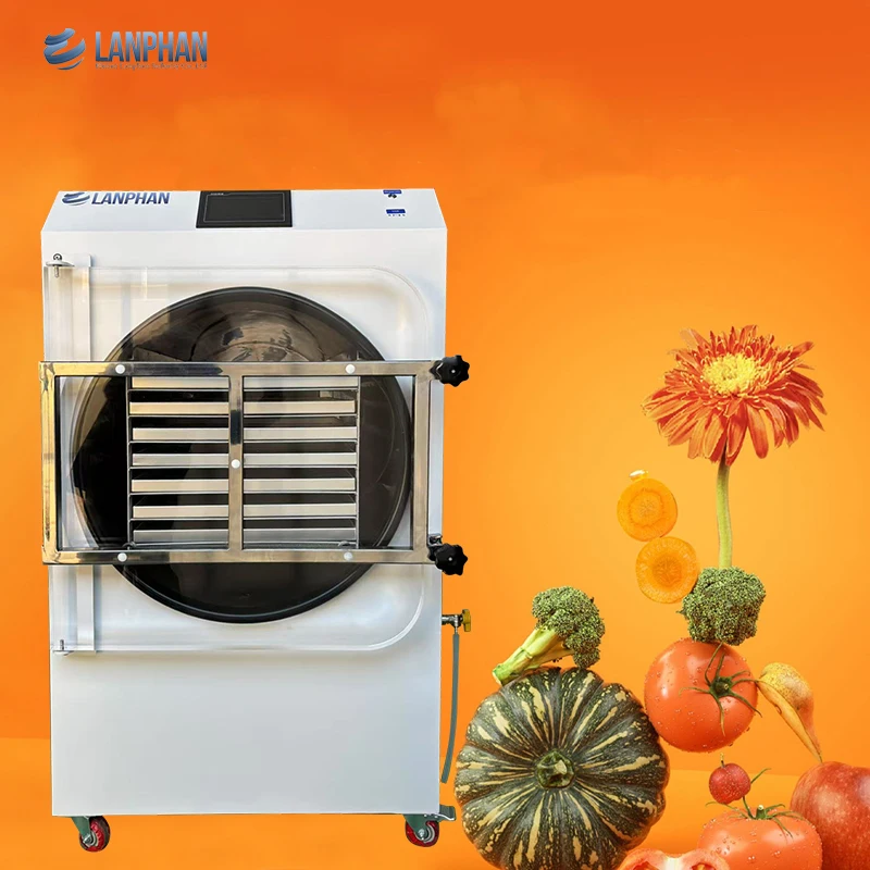 Lanphan HFD-40 Doppi compressori Liofilizzatore sottovuoto ad alta efficienza per la casa