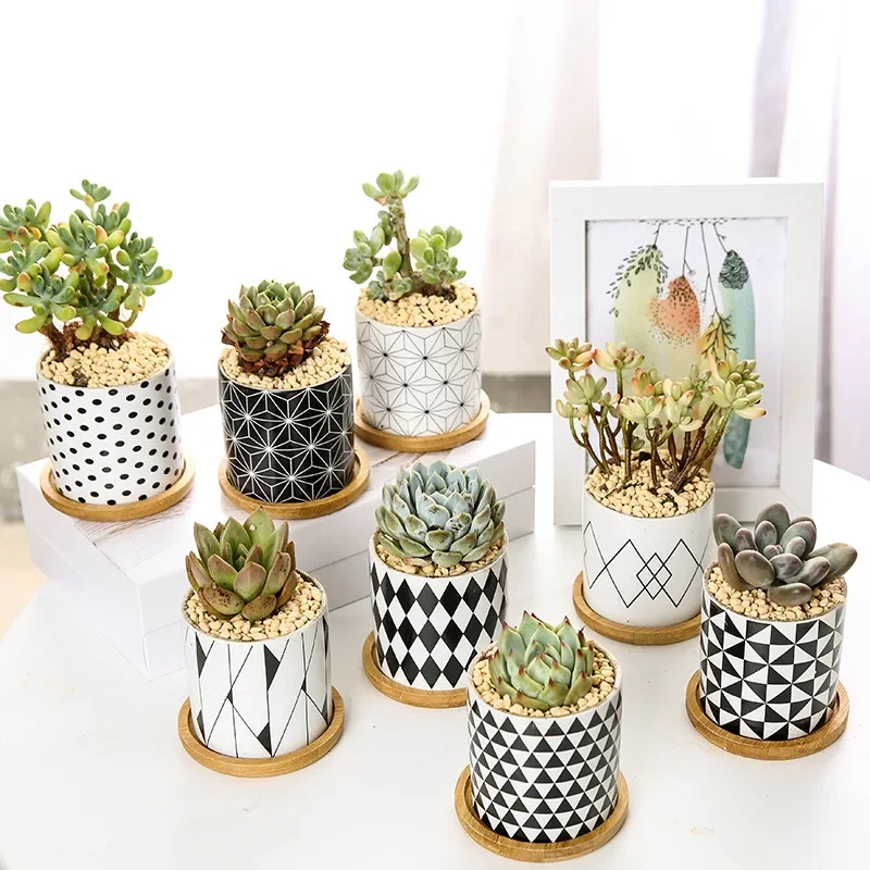 Nordic Geometric Pattern Ceramic Succulent Pot Straight Simple Black and White Home Decoration Succulent Small Potted Plant