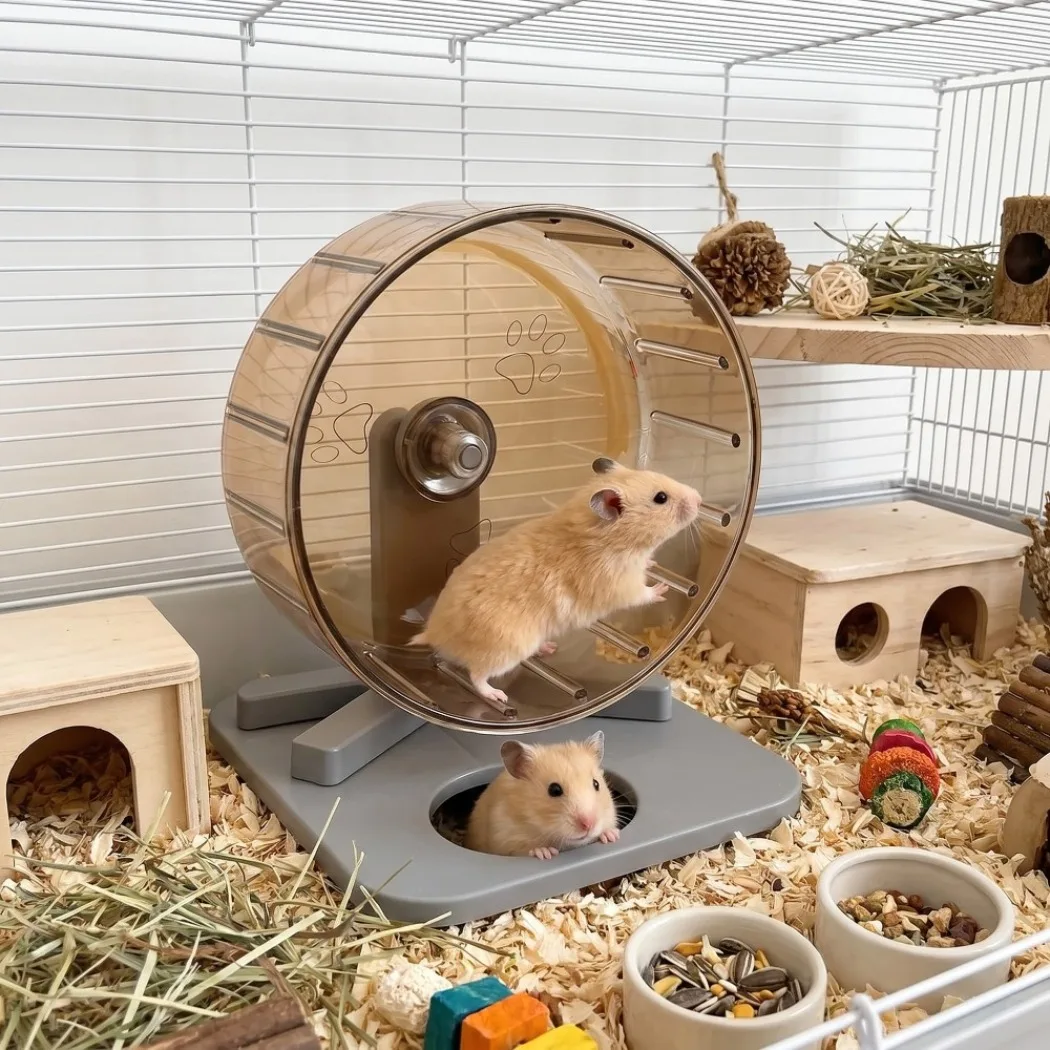 1 Stück geräuschloses Hamster-Laufrad, einfach zu zerlegen, transparentes Lauf- und Übungsrad, verbreitertes Kunststoff-Übungsrad für Haustiere ​. – Detail 4