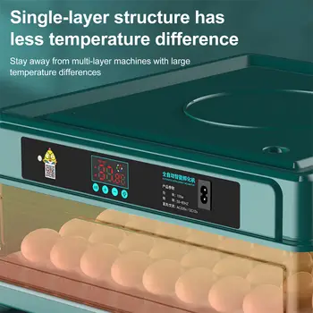 10 最佳銷售 育雛器 - №9