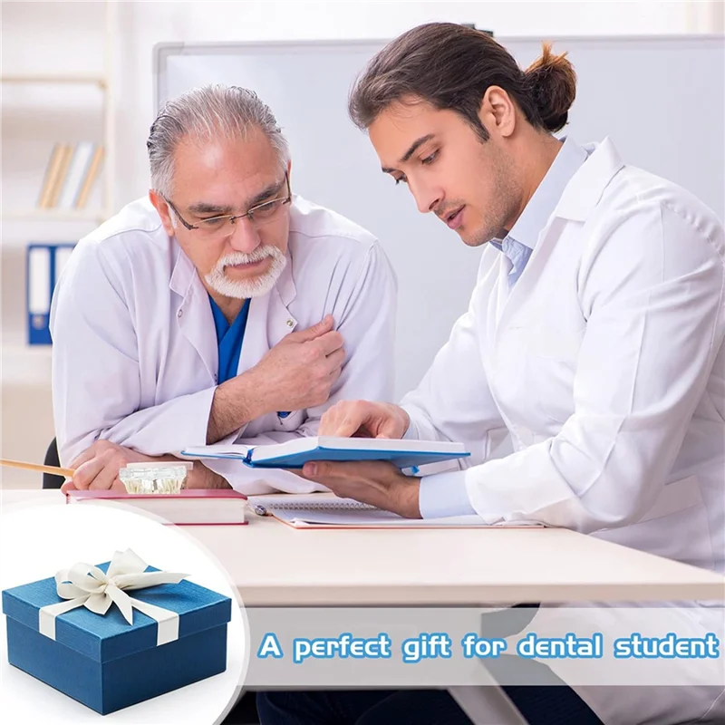 

ABUU-2X Модель зубов с заболеваниями Typodonts Модель зубов с имплантатом со съемными зубами Стандартная демонстрация зубов стоматолога