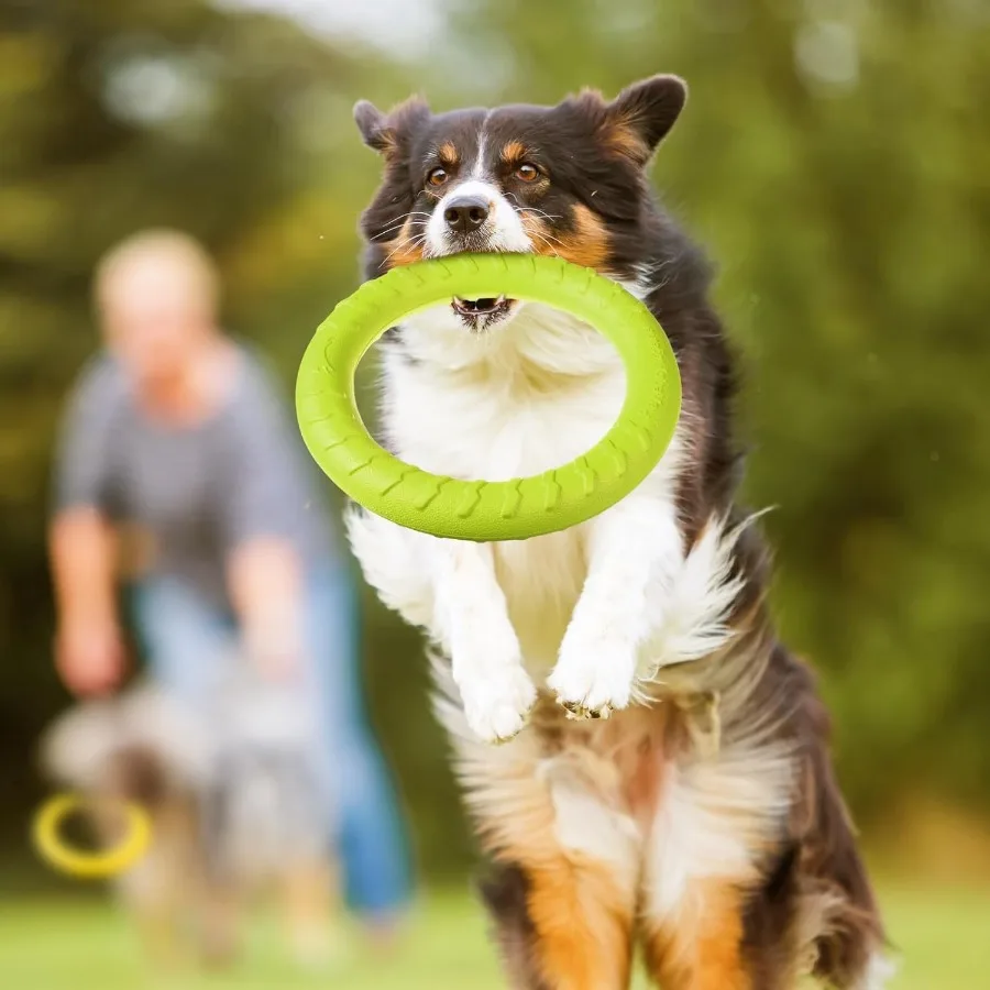 Anel de treinamento de brinquedo para cães, 4 pacotes, brinquedos de mastigar duráveis, disco voador, anel flutuante para cães grandes e médios