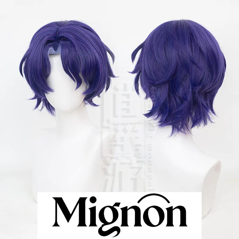 

Honkai: Star Rail Dr. Ratio Cosplay Wig Simulation Scalp Top Fluffy Bangs Halloween Gift