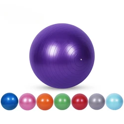 Sports Yoga Balls Balance Pilates Fitness Ball with Pump Anti-Burst & Anti-Slip Gym Exercise Workout Body Building Massage