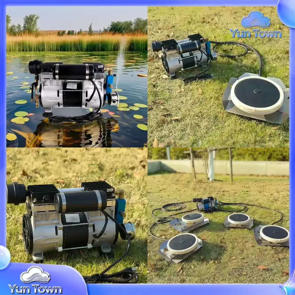 Portable 1HP 6.0CFM Fish Pond Aerator Pump 170LPM Solar Pond Air Pump Oil-Free Air Gas Source Engine Core Component