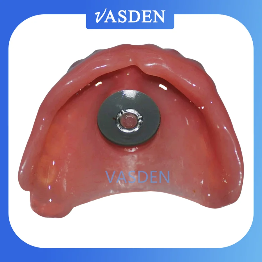 Ventosa Maxilar Dental Dentadura Anexada Disco de Borracha