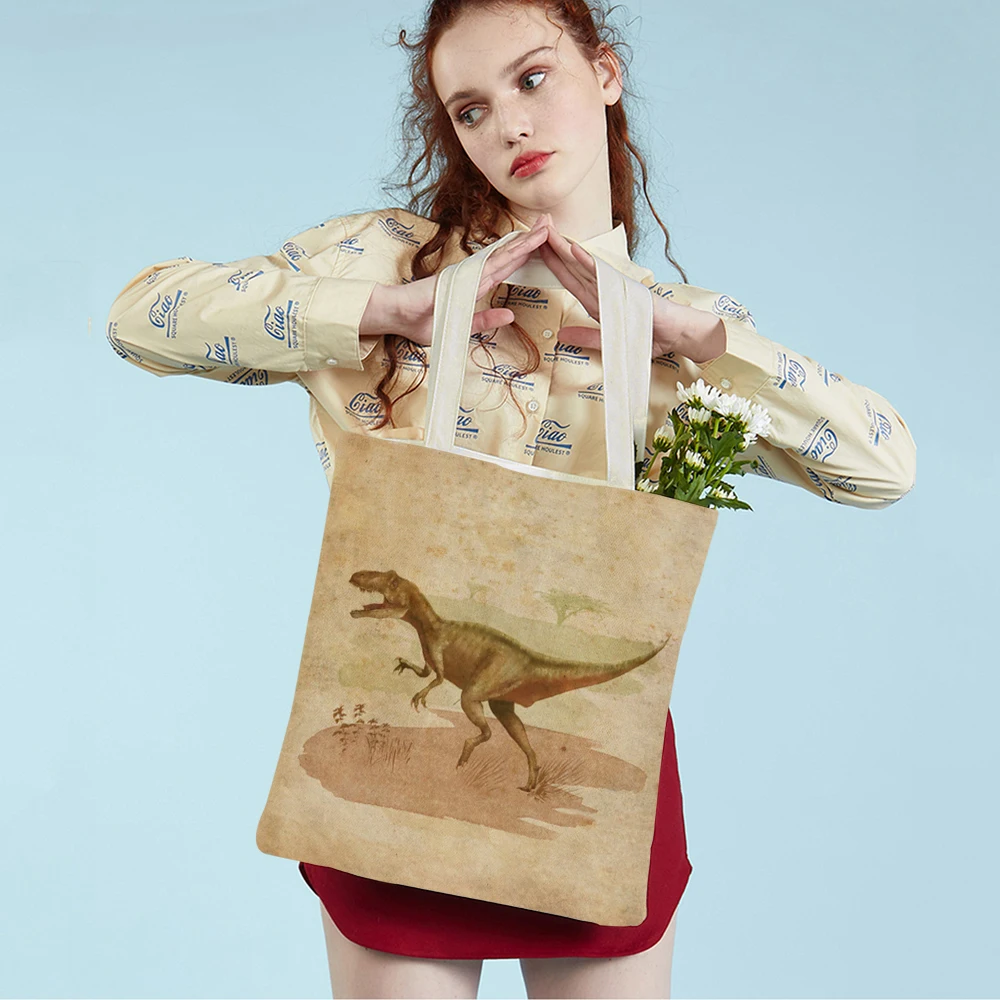 Jurassic Dinosaur Shopper Bags Lady Handbag Both Sided Vintage Cartoon Animal Casual Canvas Women Shopping Bag Travel Tote