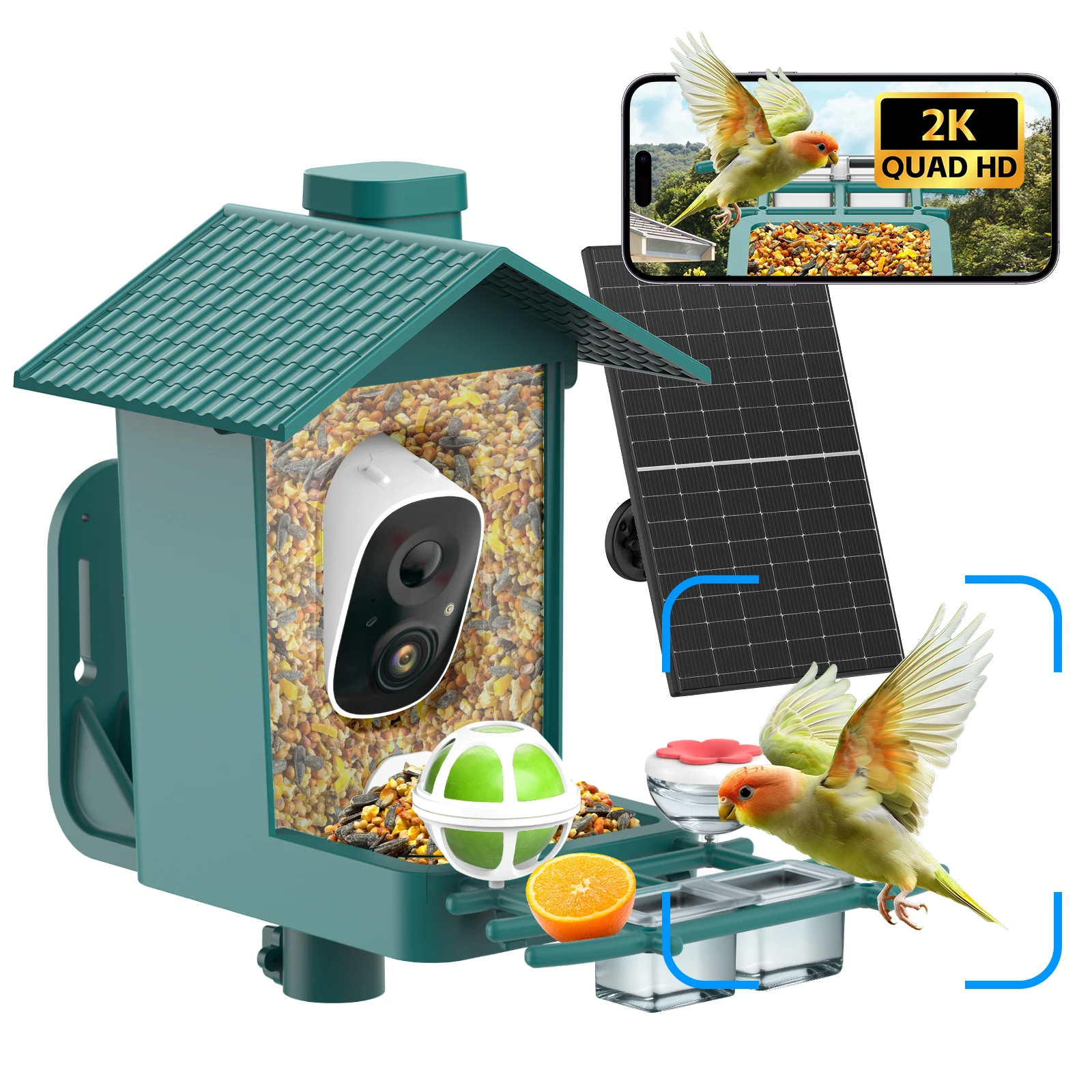 Outdoor WIFI Smart Bird Feeder 3MP HD AI Recognition Solar Low Power Extra Long Standby Full Color Night Vision Pet Products