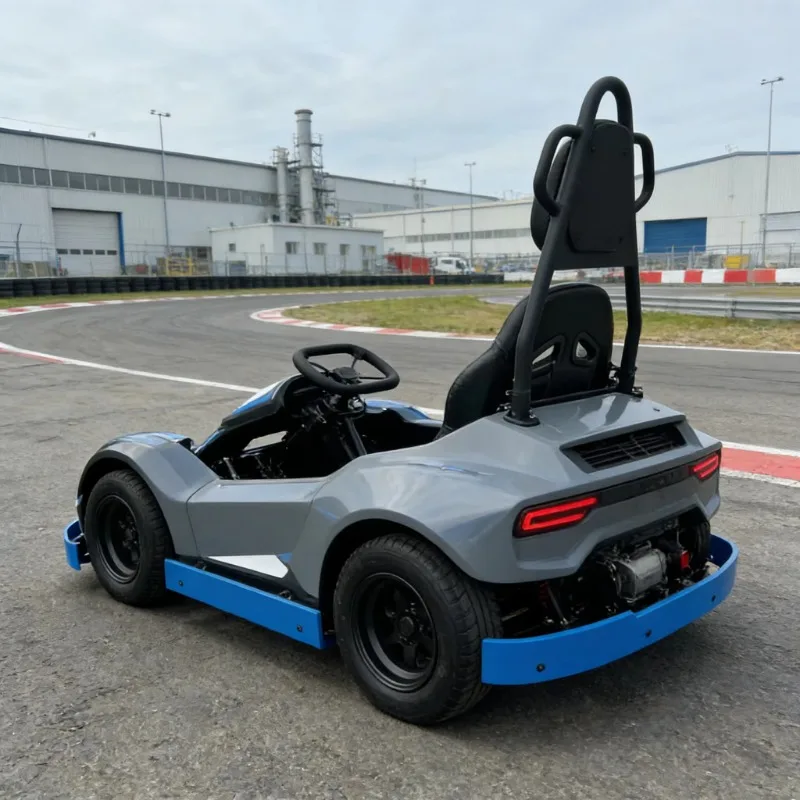 Factory Price Customizable Go-Kart Car and Go Kart for Sale with High Quality for Global Buyers