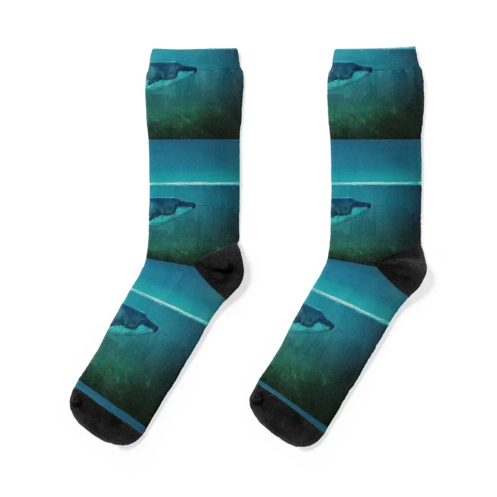 10. Blue Whale painting Socks football happy short Socks Female Men's