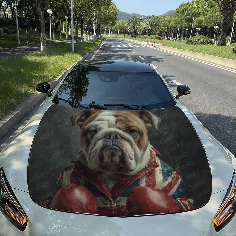Bulldog Boxer Car Hood Sticker, Vinyl Film Decal For Vehicle Modification - Waterproof & Scratch-Resistant Self Adhesive Wrap