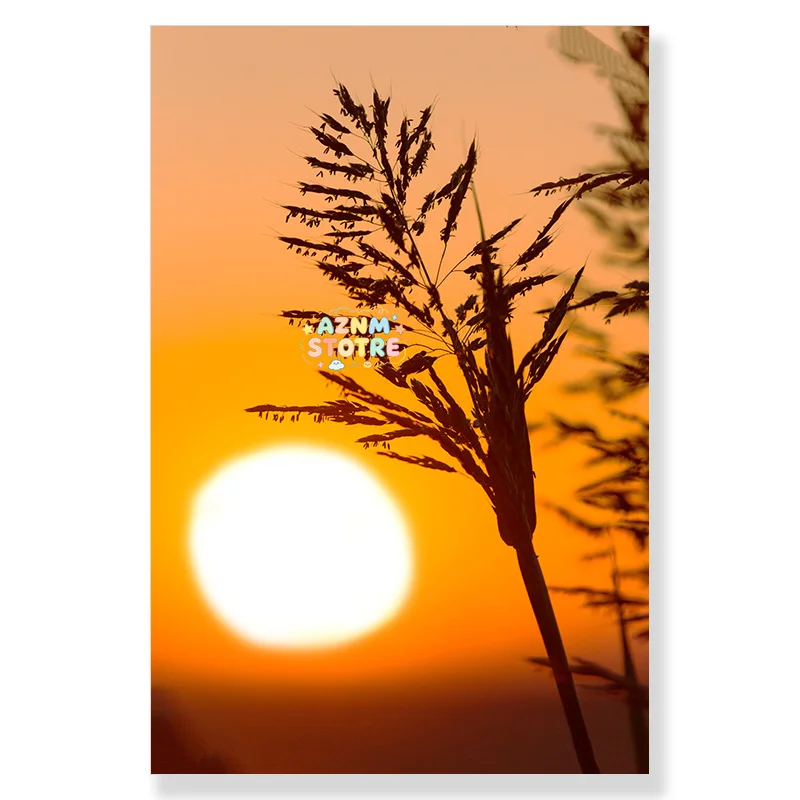 Lion Giraffe Elephant Animal Poster Sunrise Wheat Tree Cliff Hot Air Balloon Canvas Print Painting Nature Landscape Wall Pict